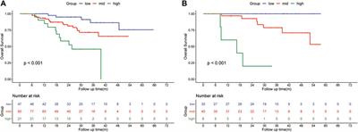 Survival benefit of preoperative hepatic arterial infusion of oxaliplatin, fluorouracil, and leucovorin followed by hepatectomy for hepatocellular carcinoma